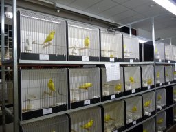 p1040192
